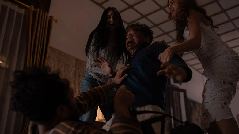 Gallery Stills
