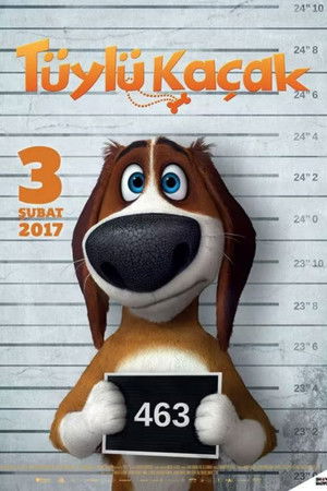Run Ozzy Run poster