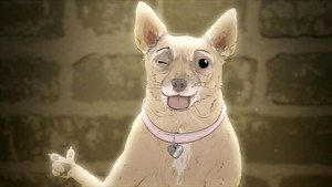 Episode Twenty: Dog.