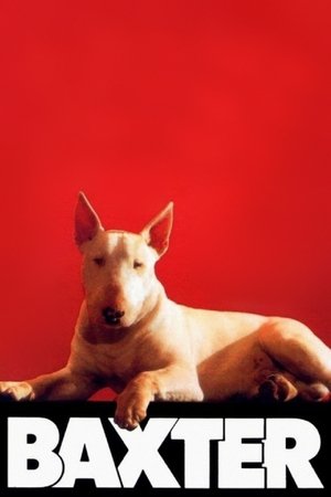 Baxter poster