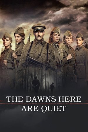 The Dawns Here are Quiet