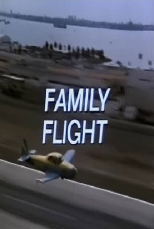 Family Flight poster