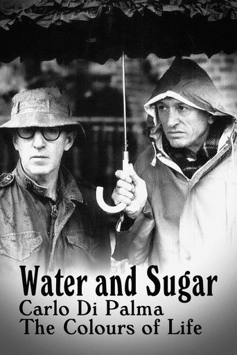 Water and Sugar – Carlo Di Palma: The Colours of Life