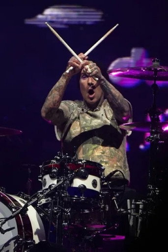 blink-182: Live at ACL Festival
