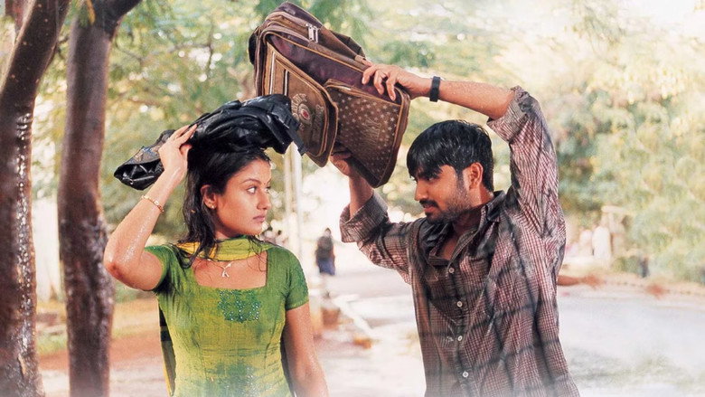 Gallery Stills