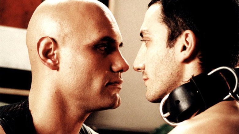 Gallery Stills