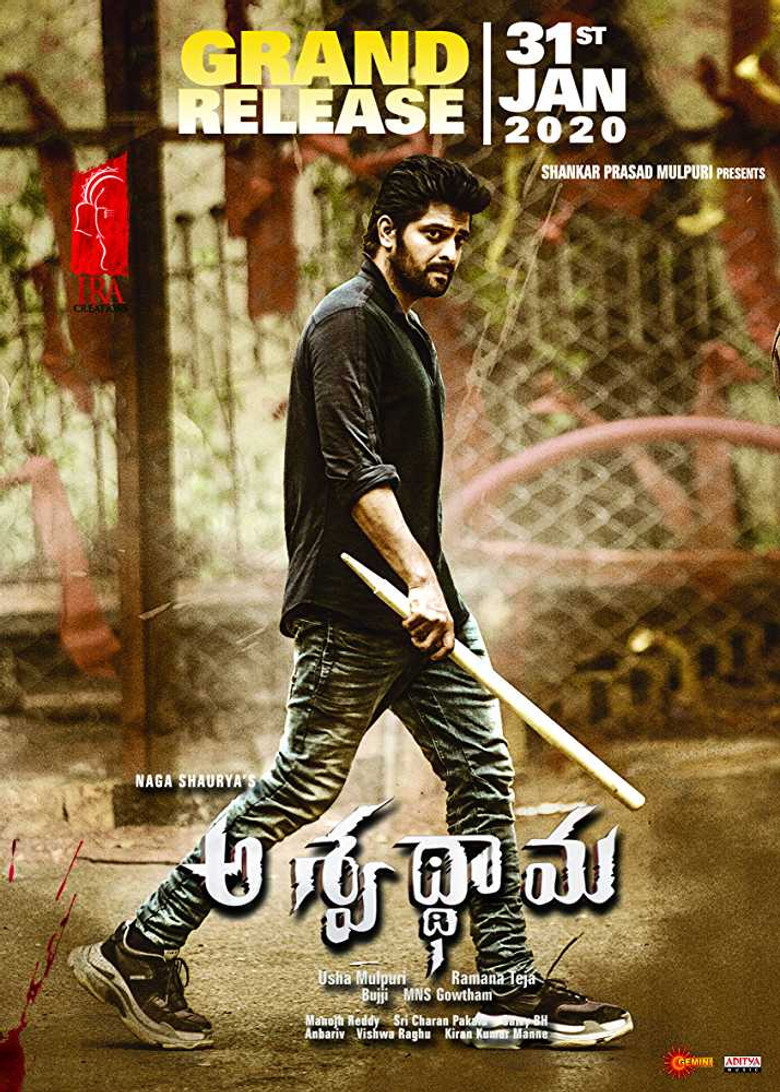 Gallery Stills