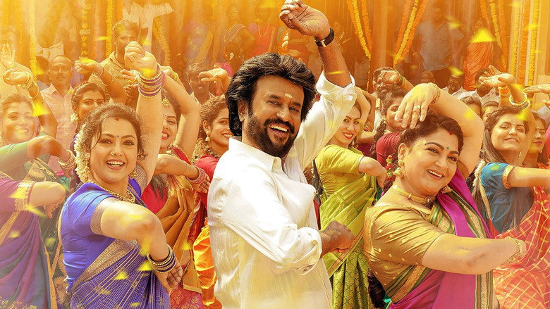 Gallery Stills