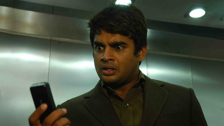 Gallery Stills