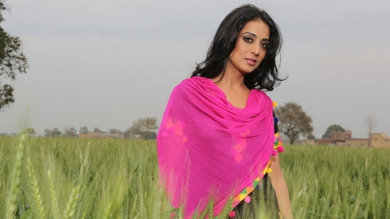 Gallery Stills
