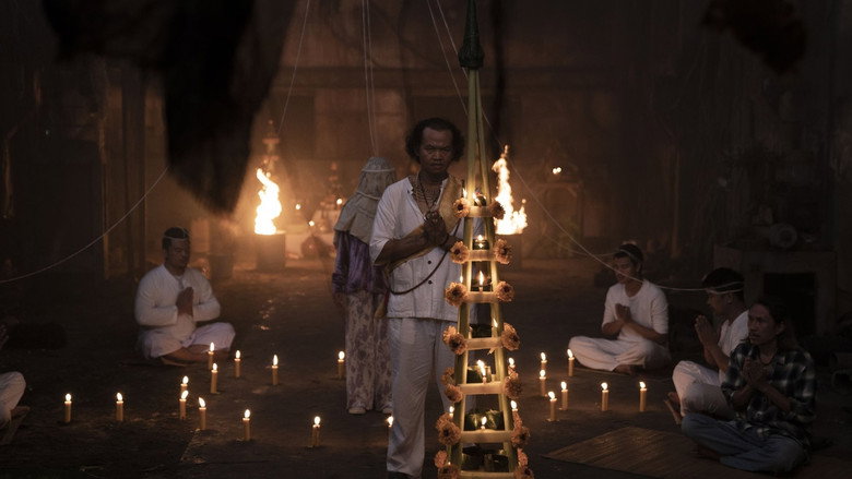 Gallery Stills