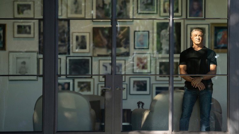 Gallery Stills