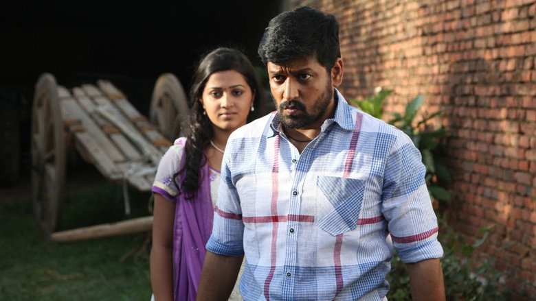 Gallery Stills