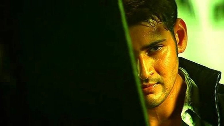 Gallery Stills