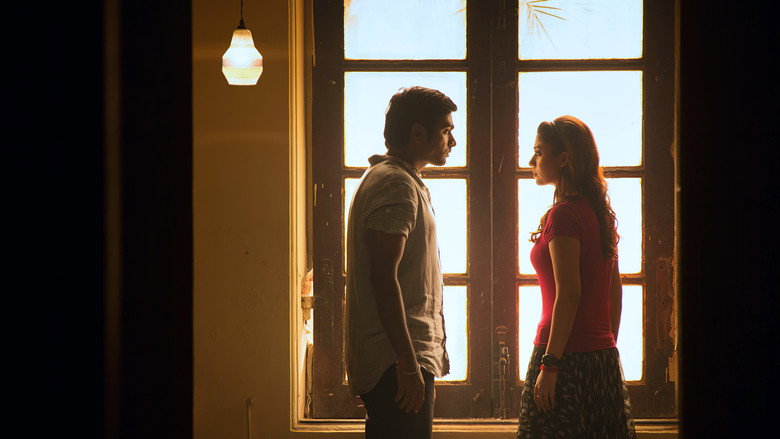 Gallery Stills