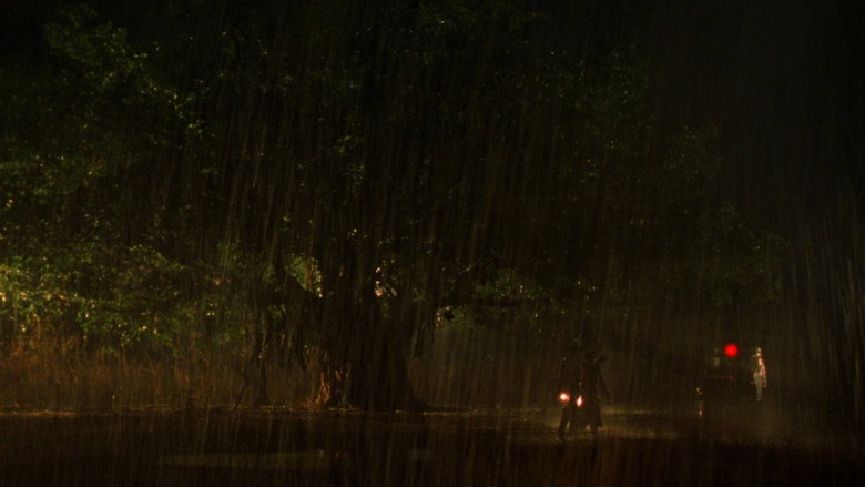 Gallery Stills