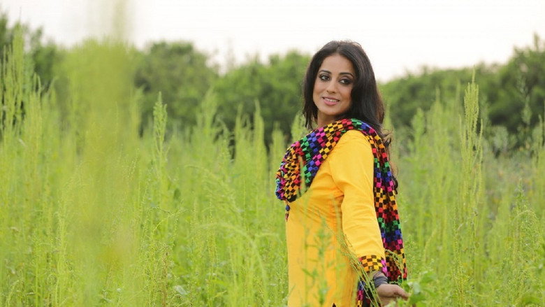 Gallery Stills