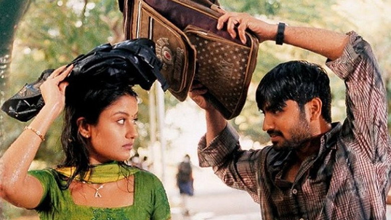 Gallery Stills