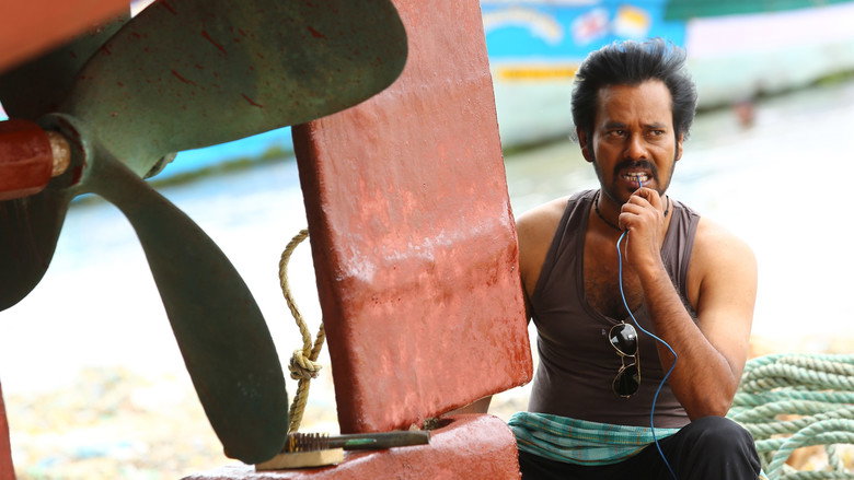 Gallery Stills