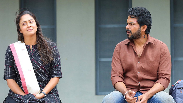Gallery Stills