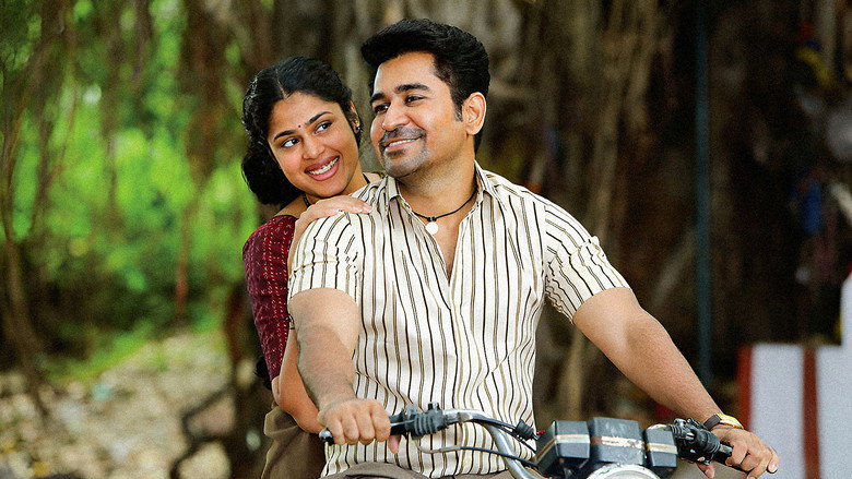 Gallery Stills