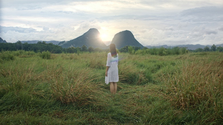 Gallery Stills