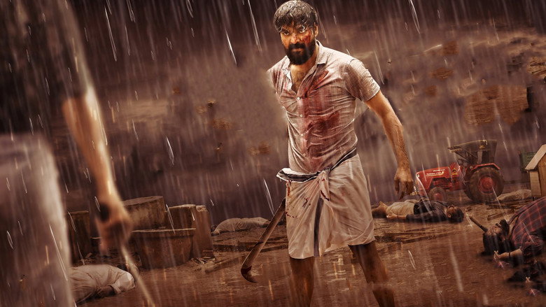 Gallery Stills