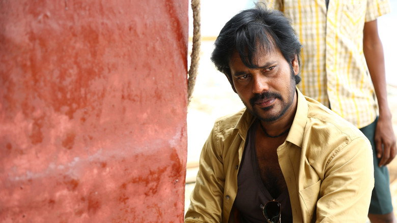 Gallery Stills