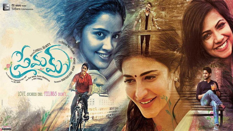 Gallery Stills