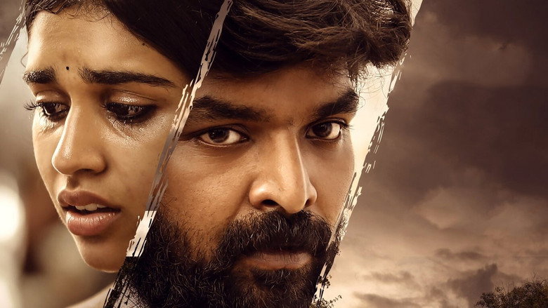 Gallery Stills