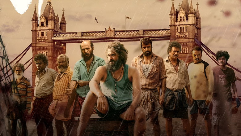 Gallery Stills