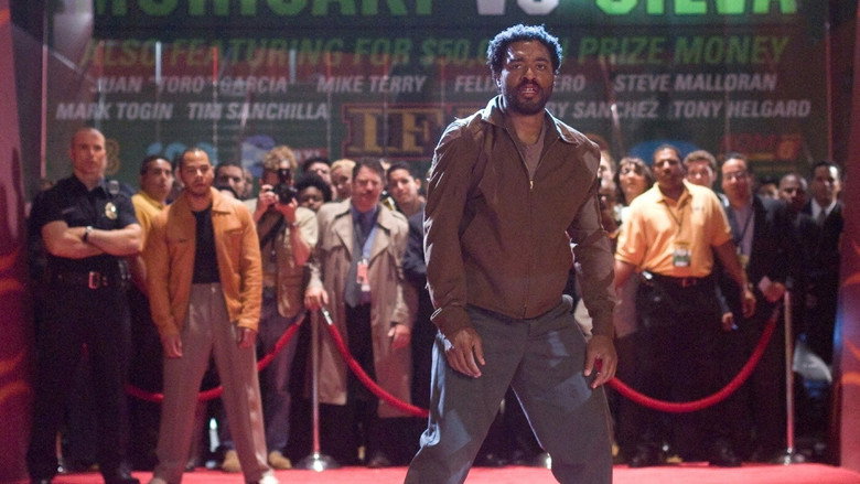 Gallery Stills