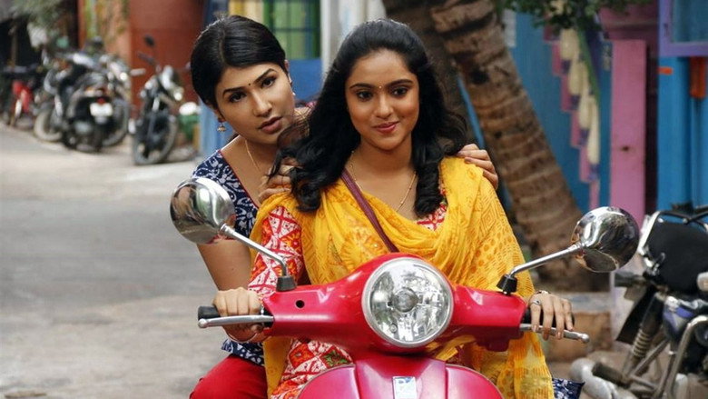 Gallery Stills