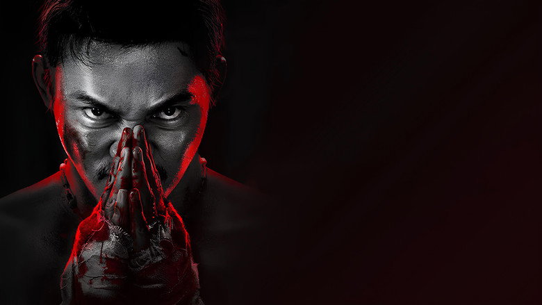 Gallery Stills