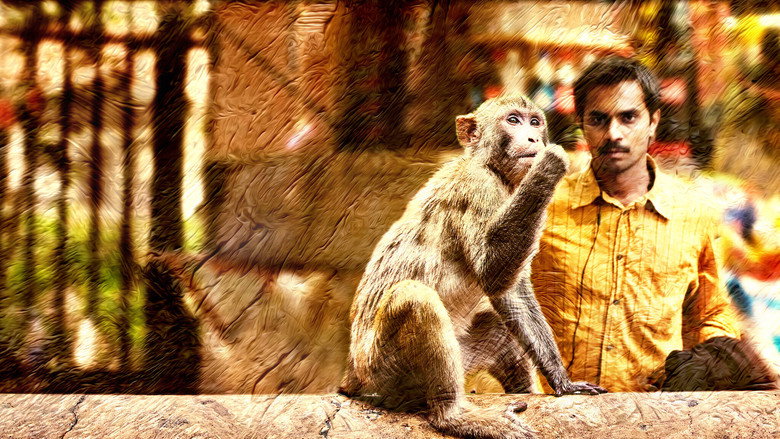 Gallery Stills