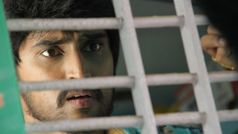 Gallery Stills