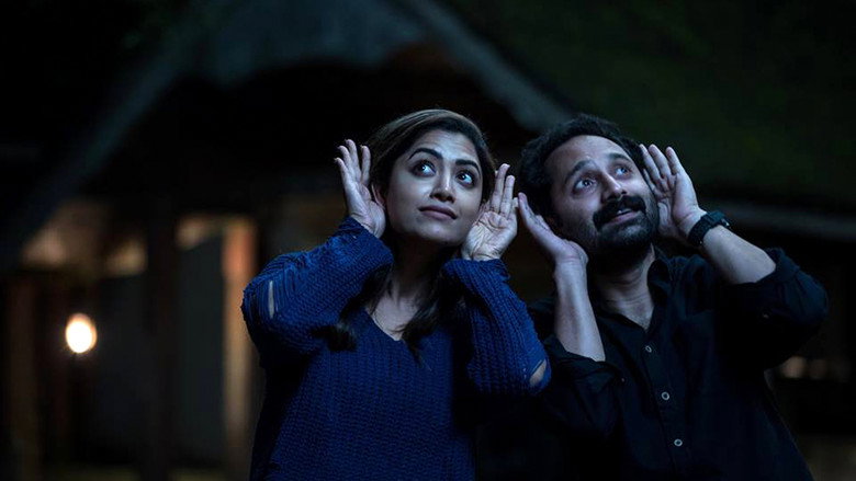 Gallery Stills