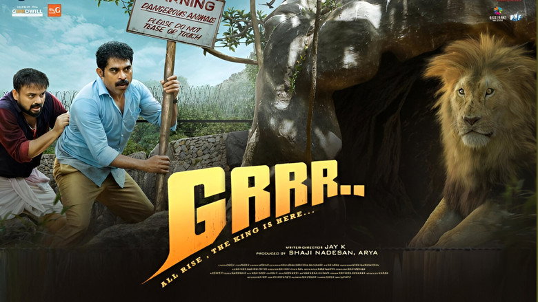 Gallery Stills