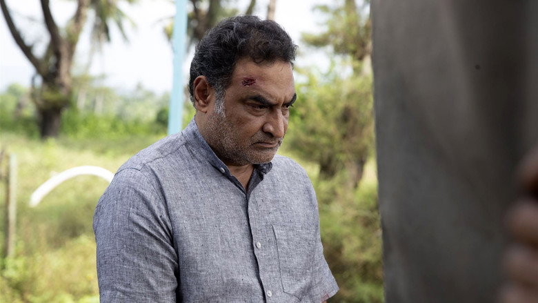 Gallery Stills