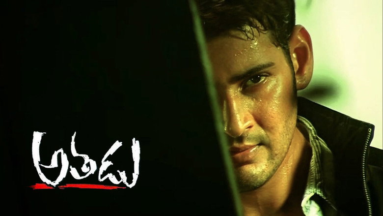 Gallery Stills
