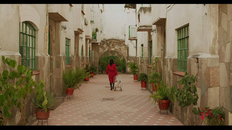 Gallery Stills