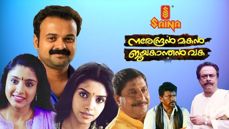 Gallery Stills