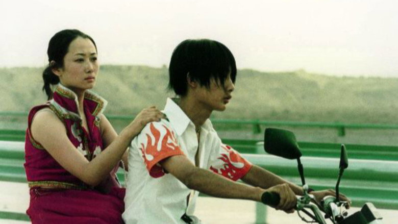Gallery Stills