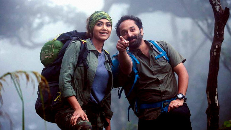 Gallery Stills
