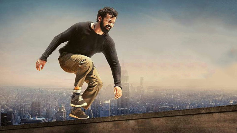 Gallery Stills