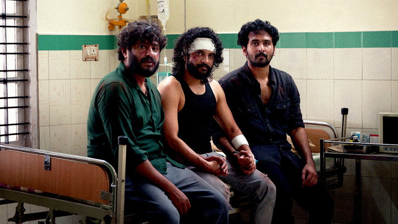 Gallery Stills