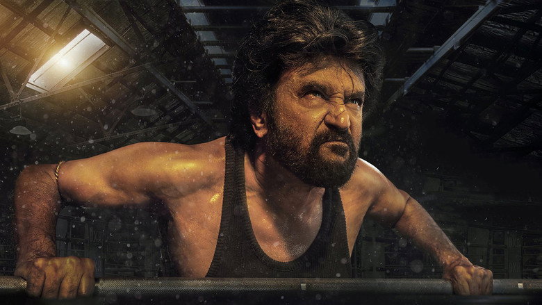 Gallery Stills