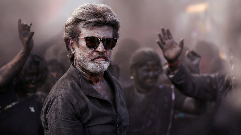 Gallery Stills