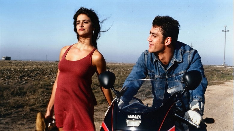 Gallery Stills
