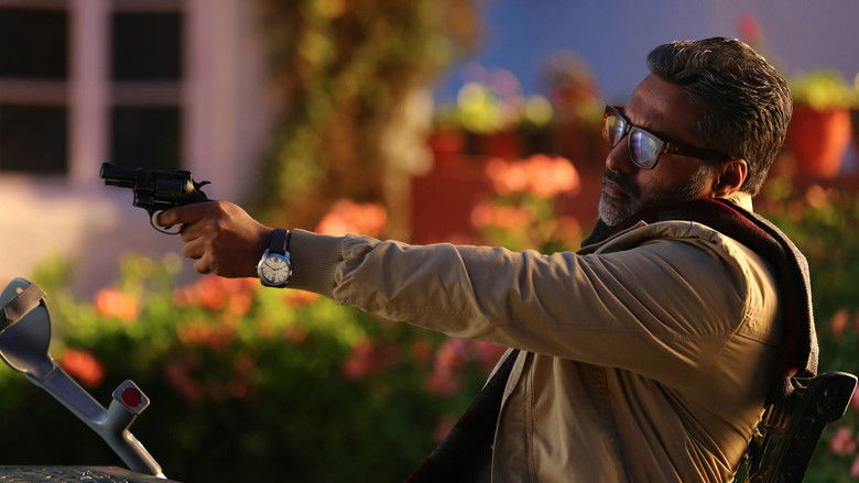 Gallery Stills